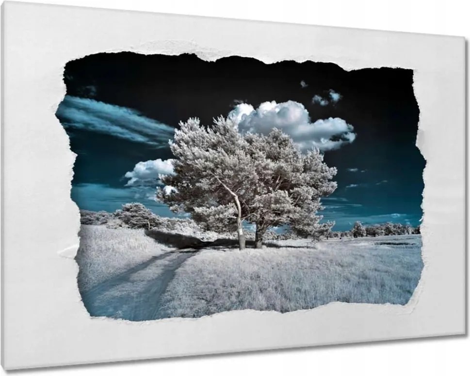 Vászonkép 60x40 Fenséges fa