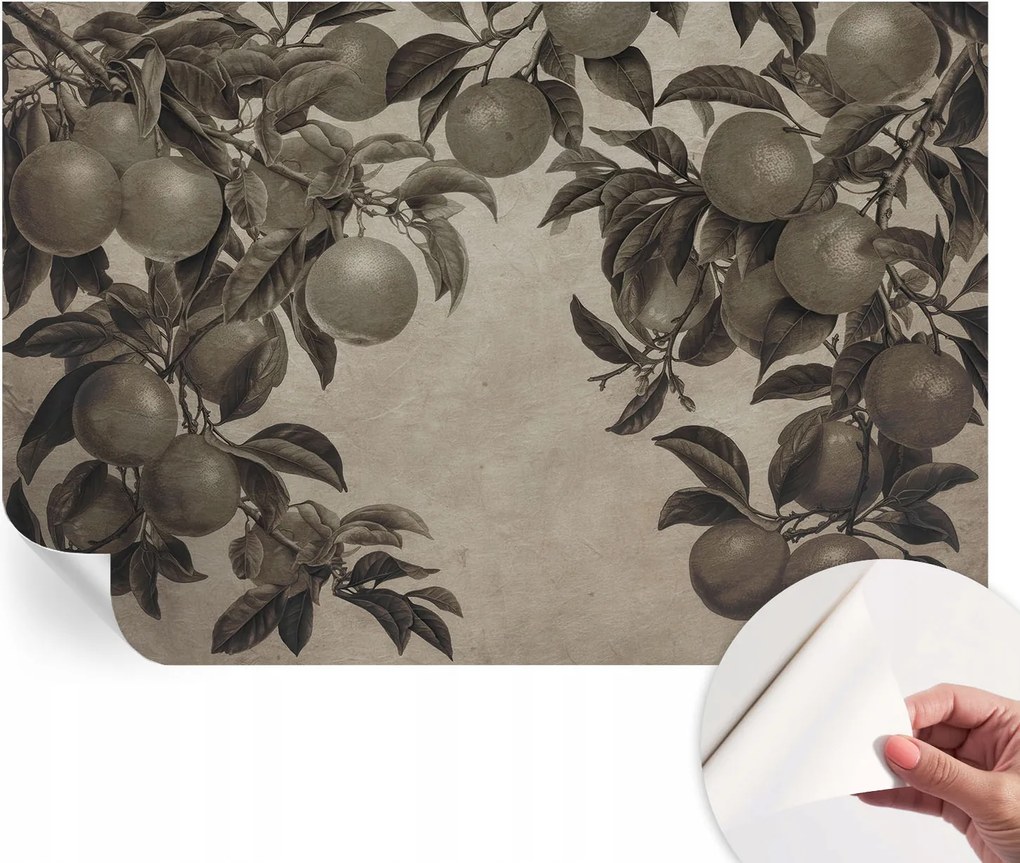 Öntapadós Dekoratív Fotótapéta Hálószobába Gyümölcsös minta 104x70 cm