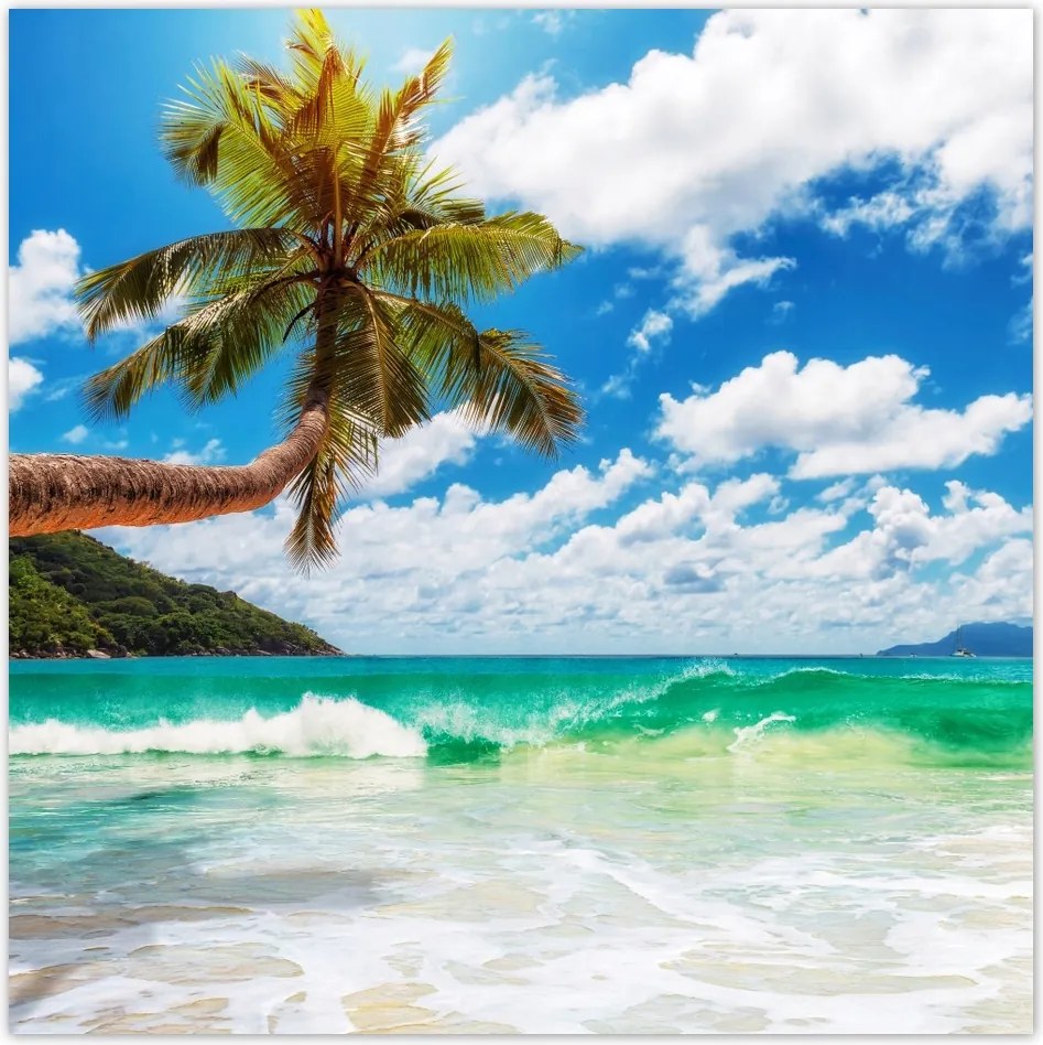 Fotótapéta flizelina 208x208 Paradicsom tengerpart pálmafákkal