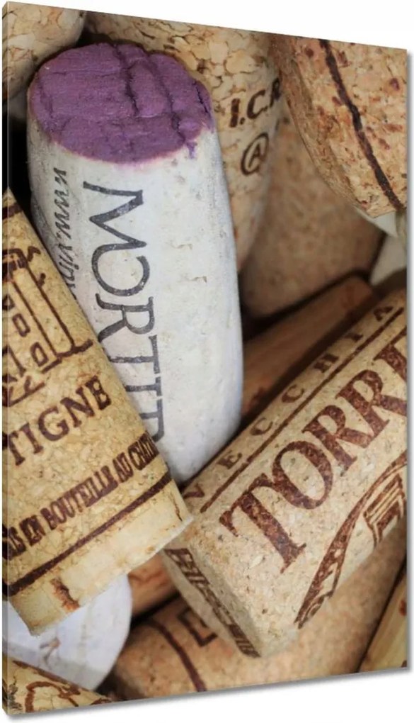 Vászonkép 80x120 Színes bordugók