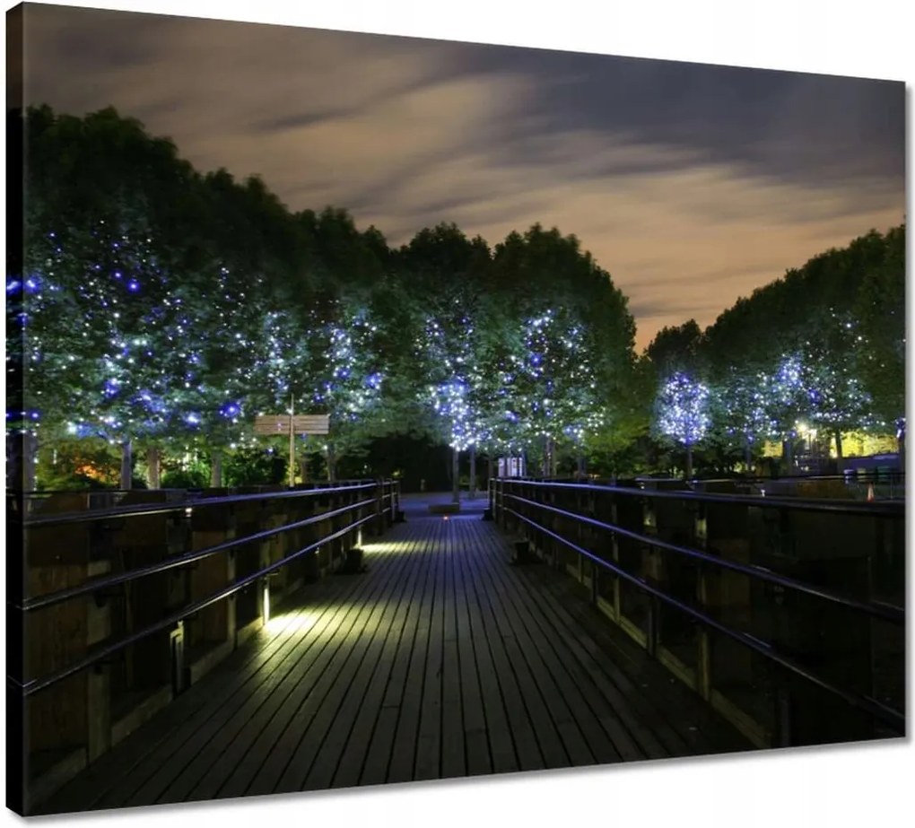 Vászonkép 50x40 Séta az éjszakában