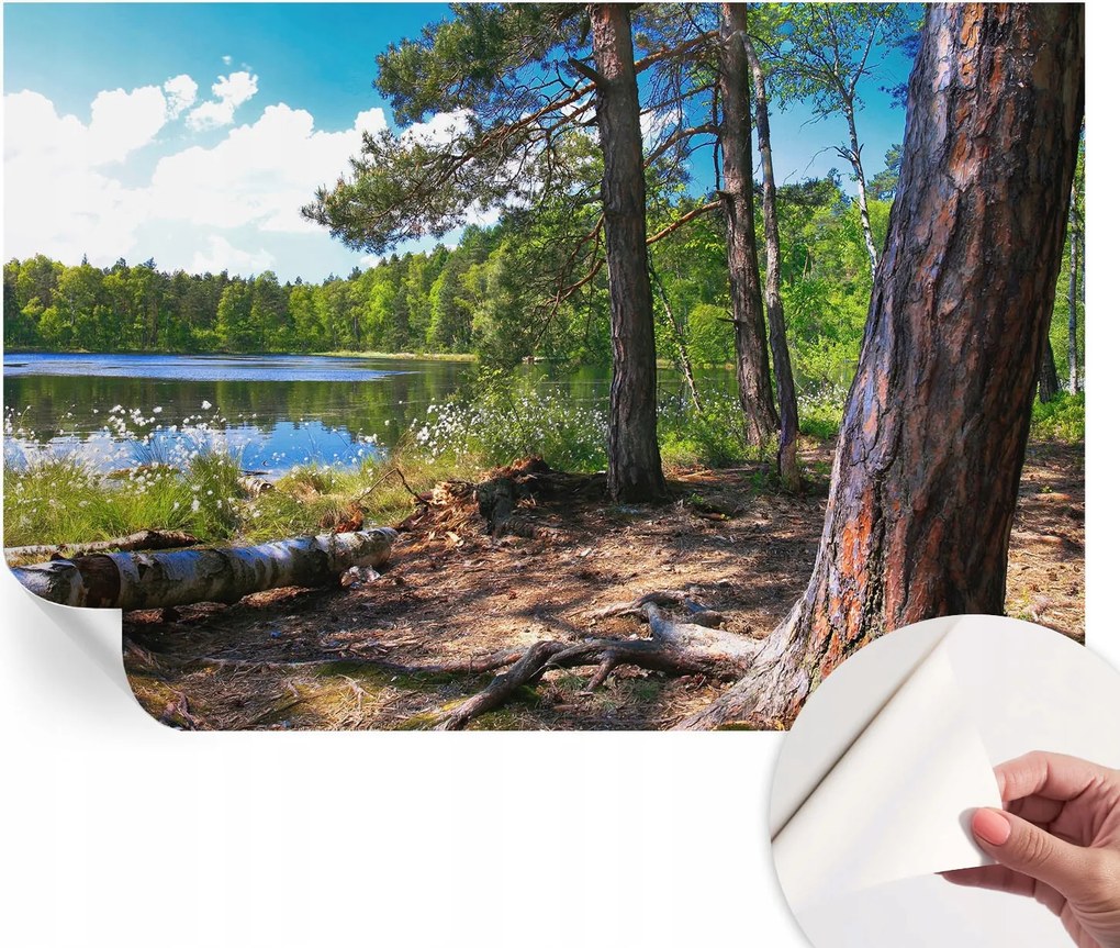 Dekoratív öntapadós fotótapéta irodába Erdei táj 104x70 cm