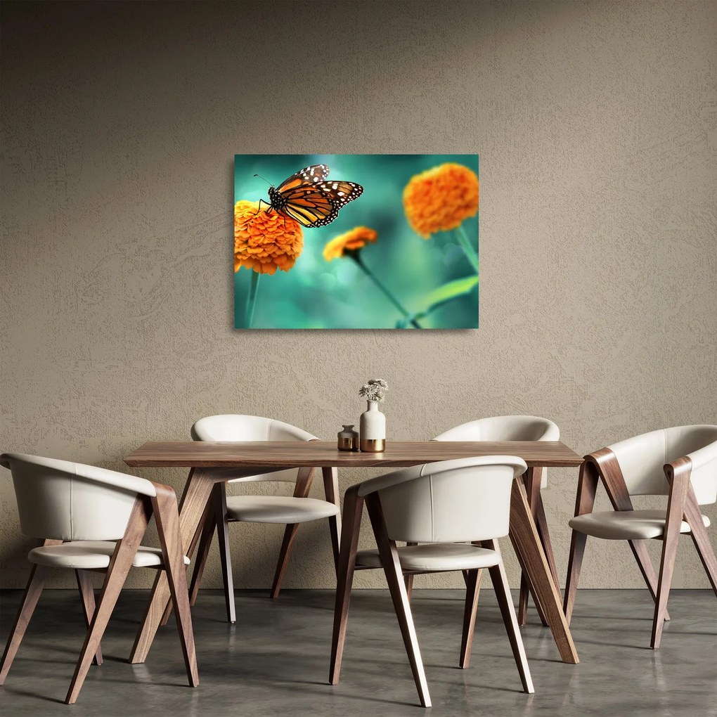 Egy pillangó képe (üvegen) (70x50 cm)