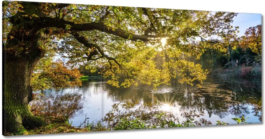 Festmények 120x60 Tájkép