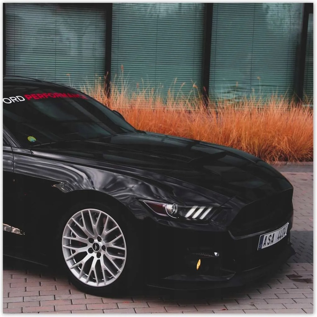 Poszterek 100x100 Ford Mustang Usa autó