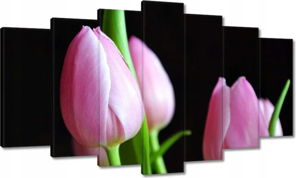 Vászonkép 140x80 Lila tulipánok