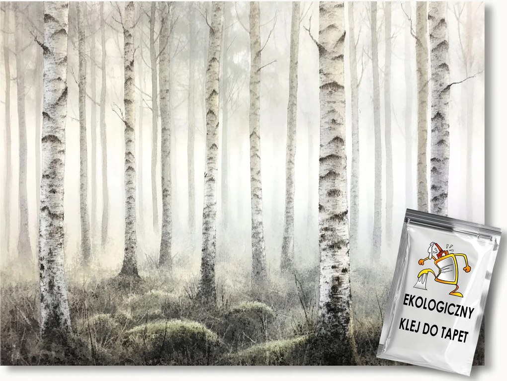 Fotótapéta Flizelina Tájkép Természet Erdő Fák Nyírfa Köd 368x254 ragasztó