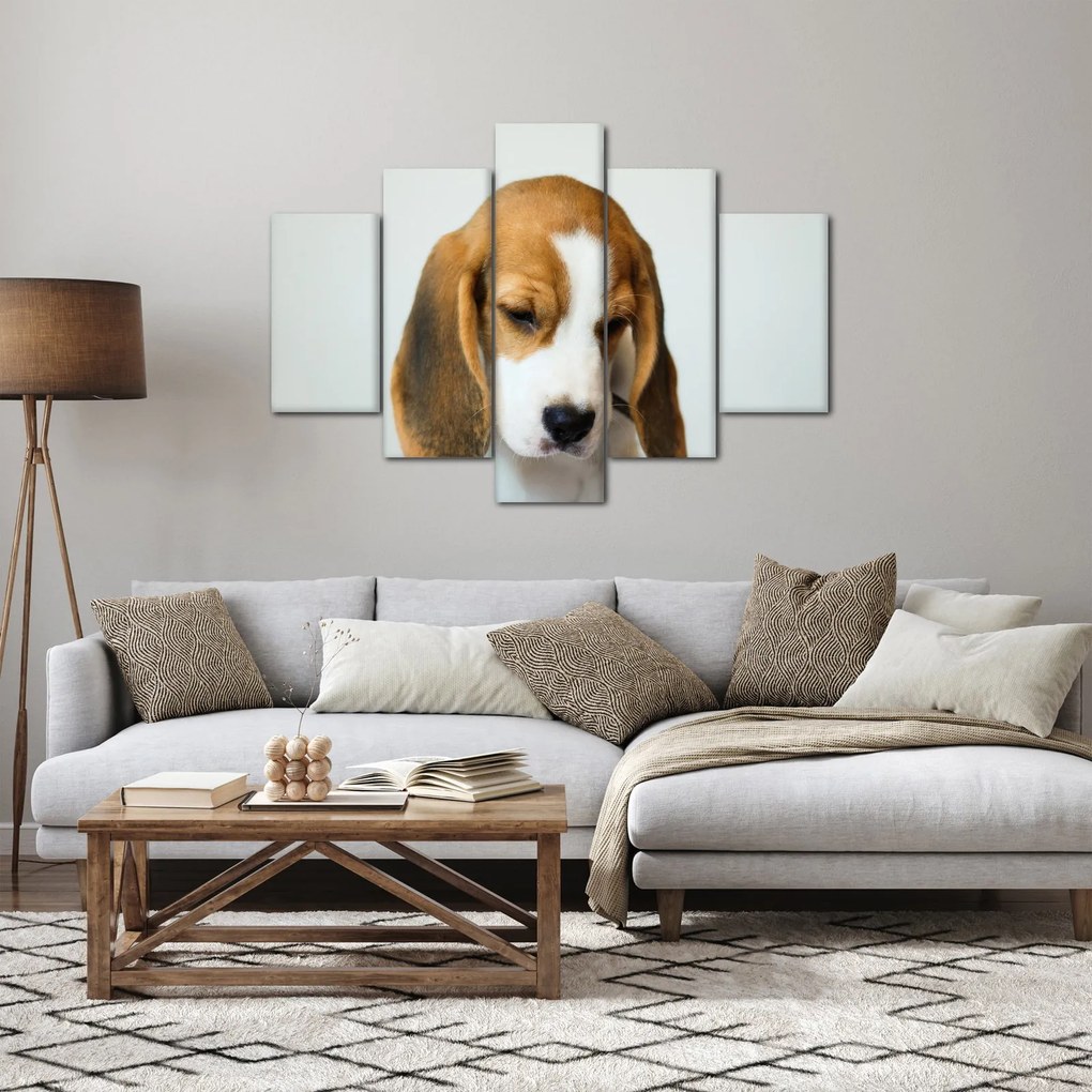 Beagle képe (150x105 cm)