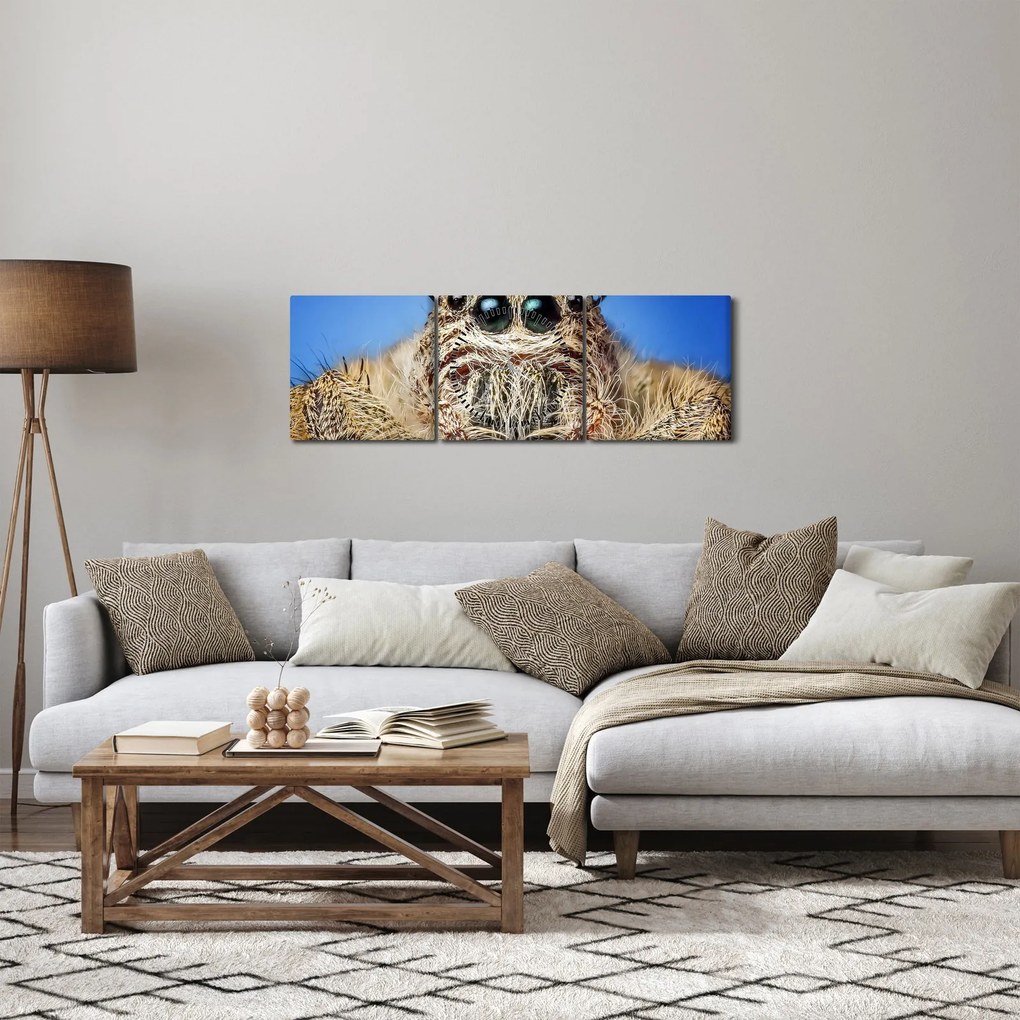 A pók részletének képe (órával) (90x30 cm)