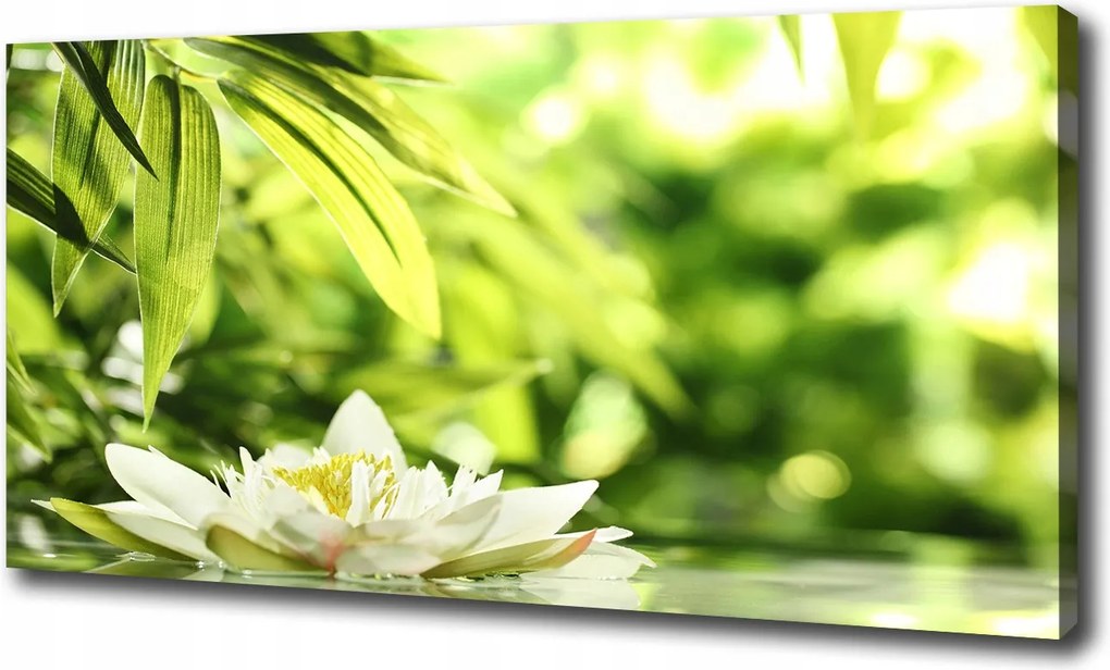 Canvas falikép Vízi liliom 120x60 cm