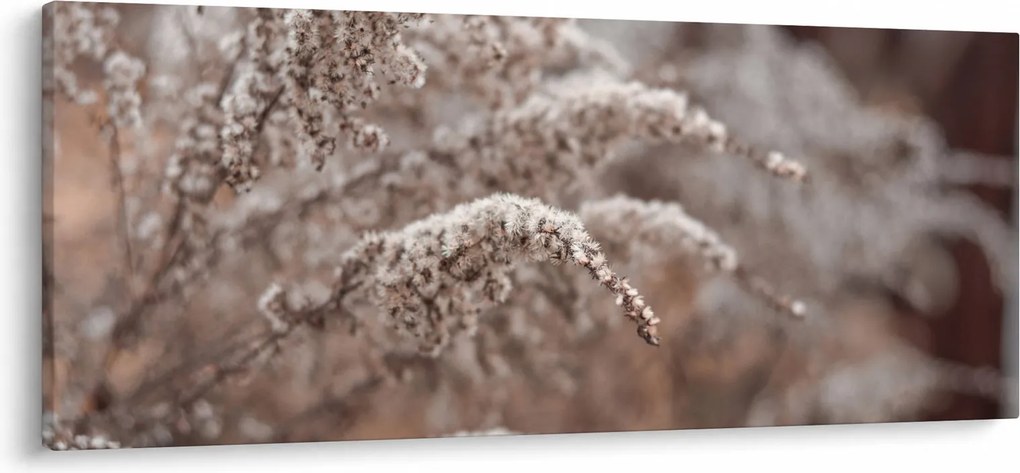 A növények képe (120x50 cm)