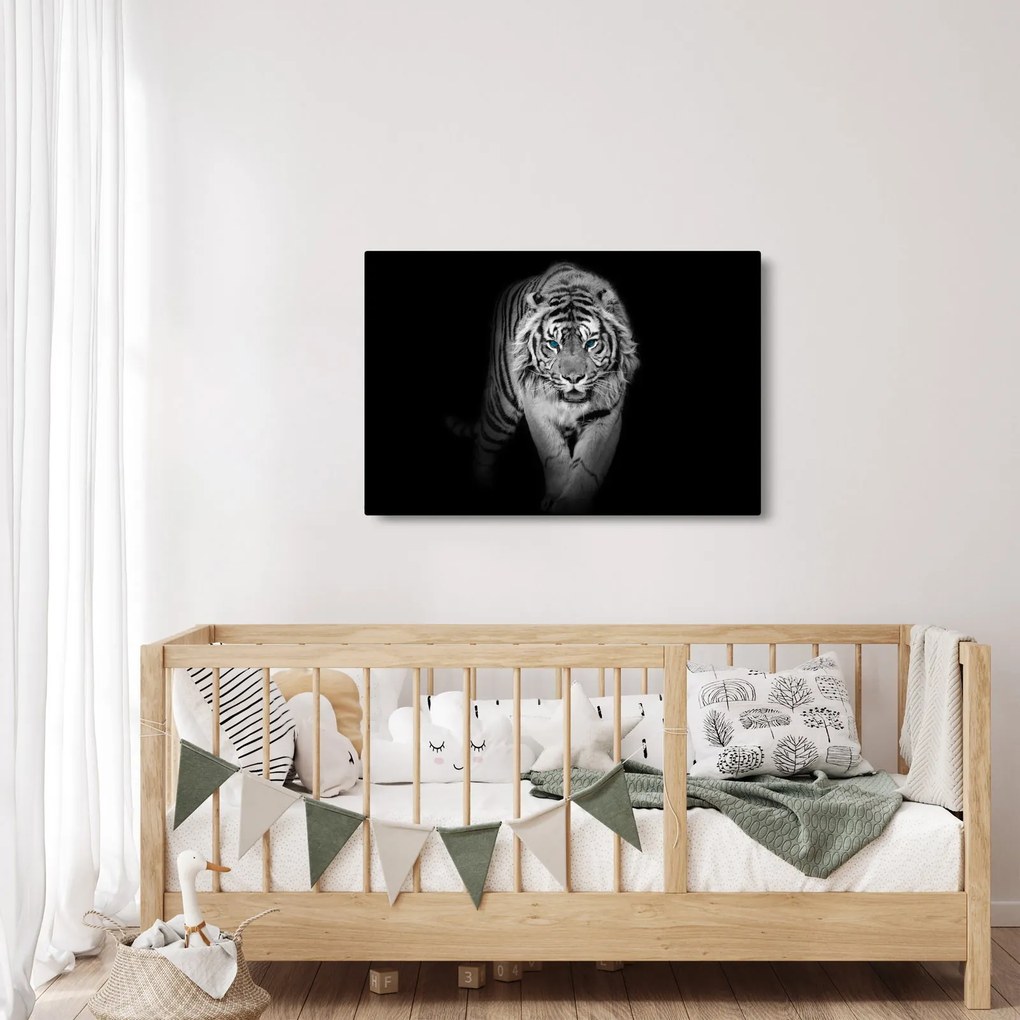 Kép - Tigris kék szemekkel (90x60 cm)