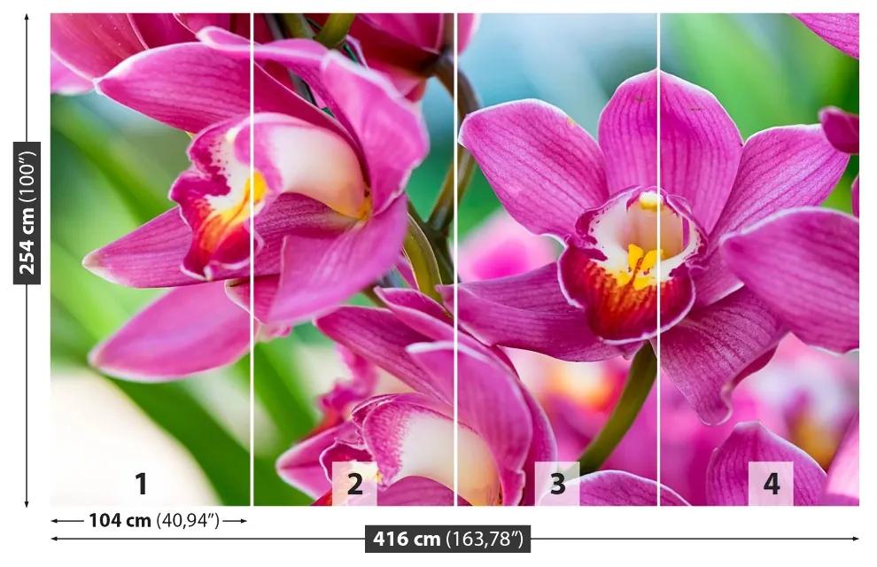 Fotótapéta rózsaszín orchideák 104x70 cm