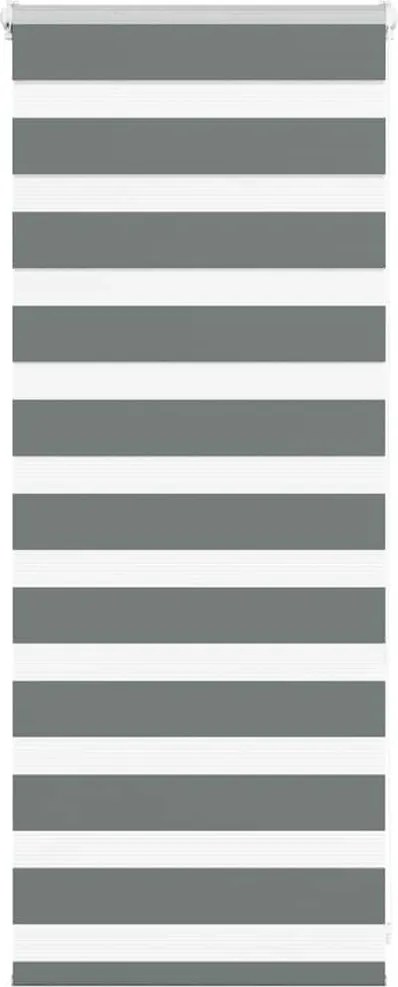 vidaXL zebrafüggönnyel sötét szürke szövetszélesség 55,9 cm poliészter