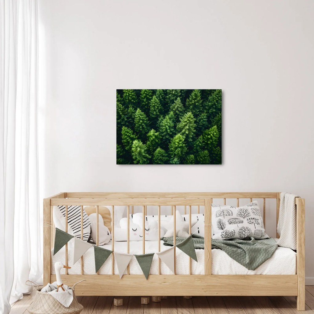 Kép - Forest (70x50 cm)