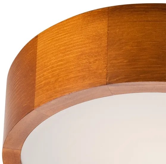 Mennyezeti lámpa 1xE27/60W/230V