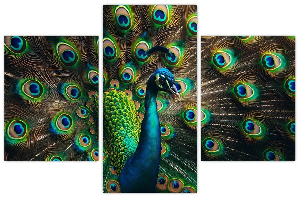 Kép – Pávatoll (90x60 cm)