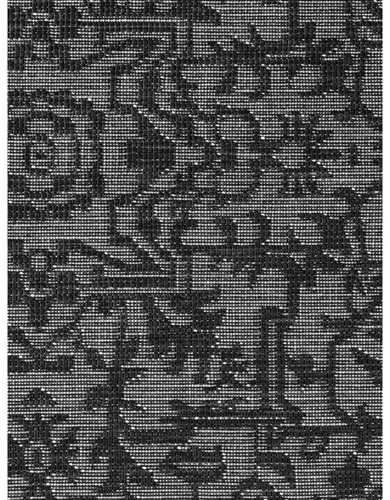 Fekete-fehér kültéri-beltéri szőnyeg 120x170 cm Duet Kona – NORTHRUGS