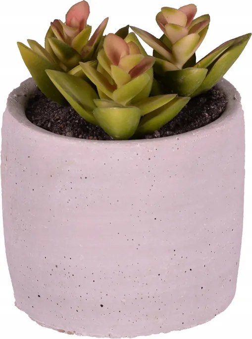 Pozsgások cserépben mesterséges dekoráció