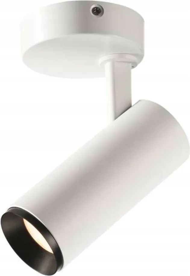 Slv Big White Numinos Spot Dali S beltéri Led felületre szerelhető mennyezeti lámpa fehér