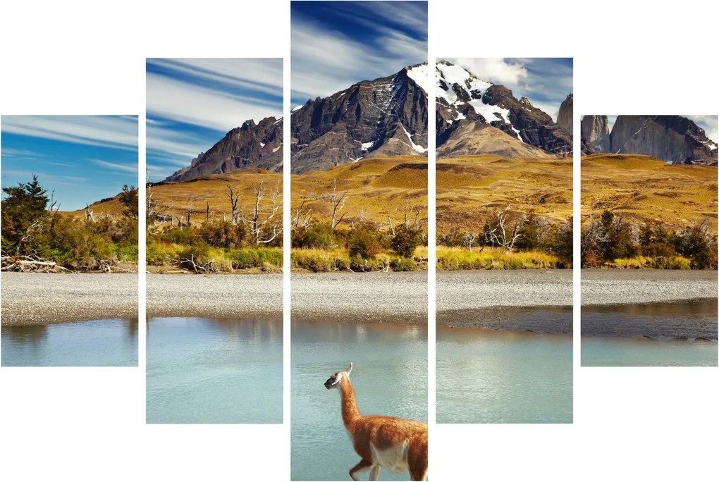 Kép - Torres del Paine Nemzeti Park (150x105 cm)