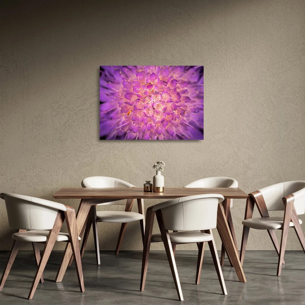 Részletes virágkép (üvegen) (70x50 cm)