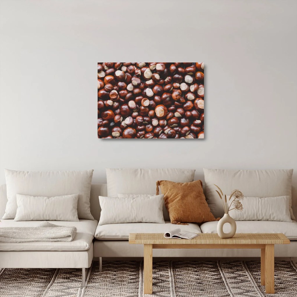 Üveg kép - Érett gesztenye (70x50 cm)