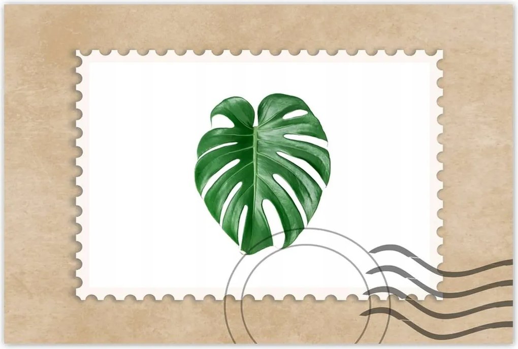 Poszterek 90x60 Monstera Lyukas levél