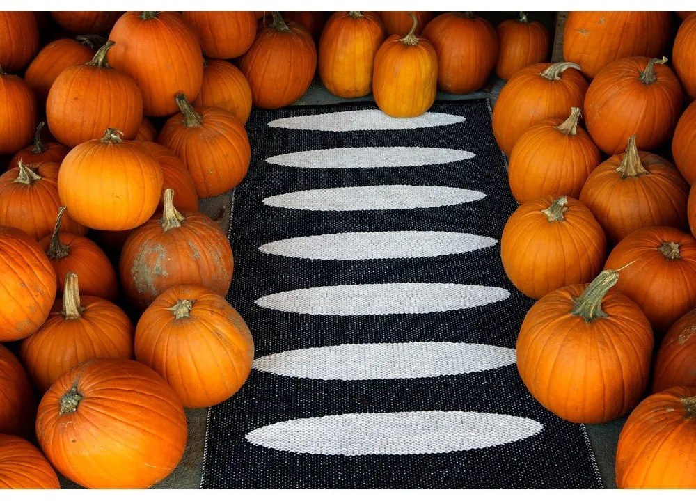 Fekete kültéri-beltéri futószőnyeg 70x150 cm Ella Black – Pappelina