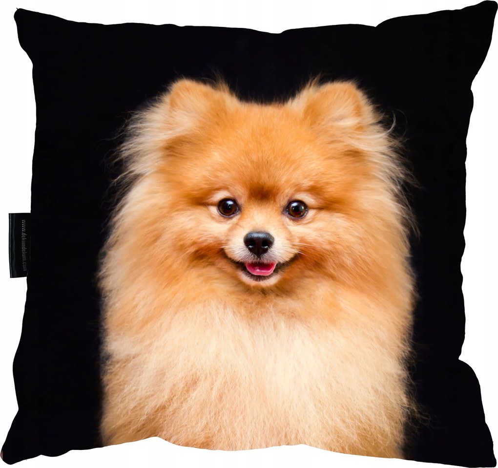 Pomeranian Kutyapárna 40x40 Ajándék