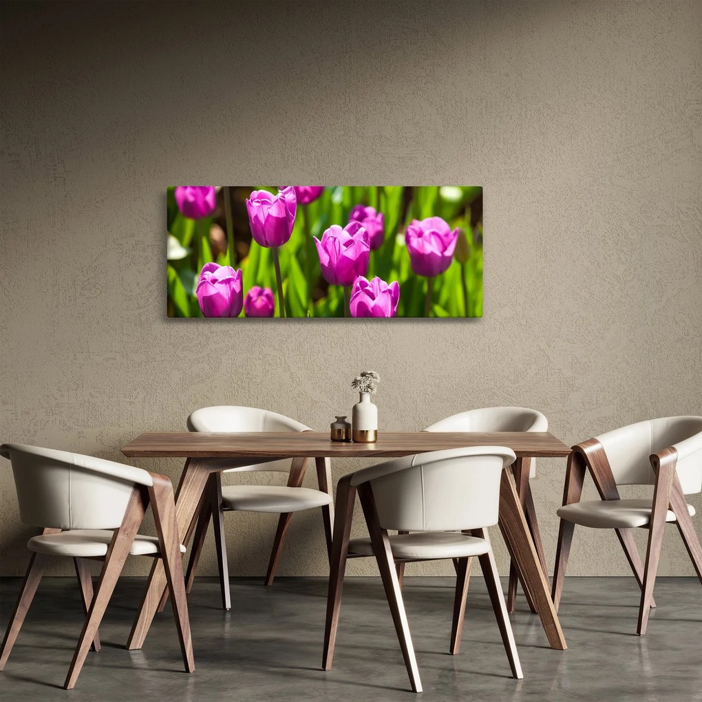 Tulipánok a réten képe (120x50 cm)