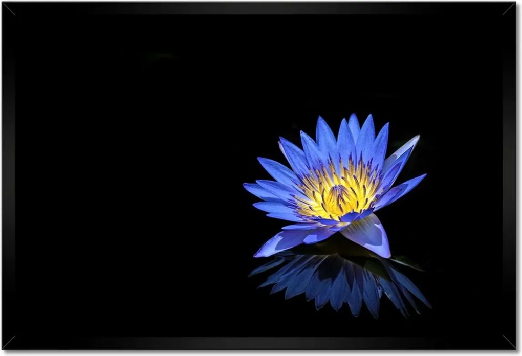 Poszterek keretben 60x40 Virágok