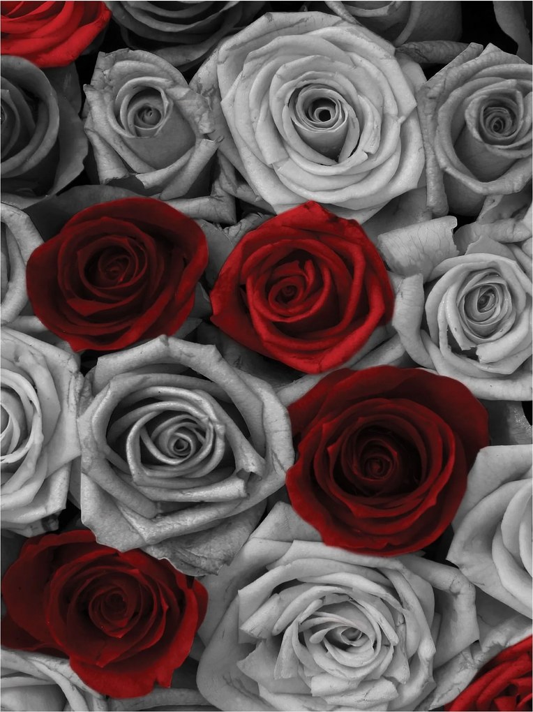 Fotótapéta virágok rózsa rózsák fotótapéta 184 x 254