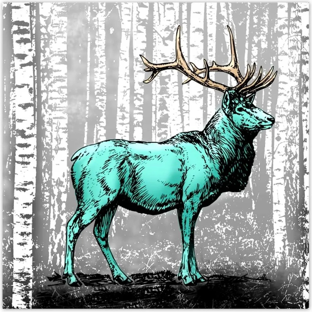 Poszterek 30x30 Szarvas Nyírfa Erdő