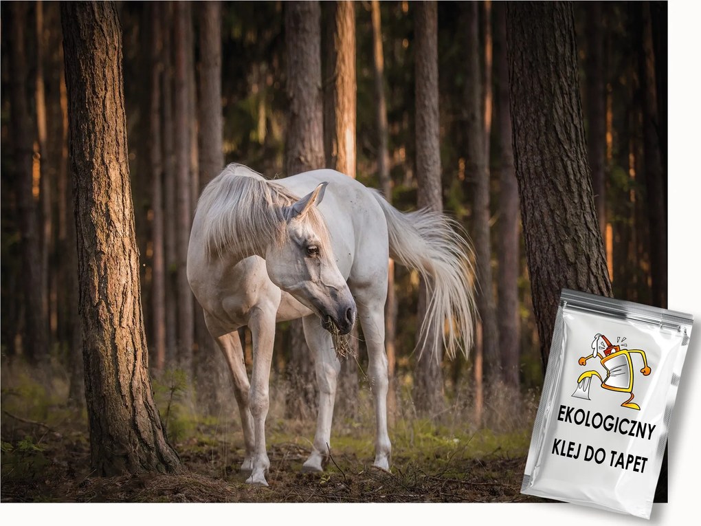 Fotótapéta Flizelina Ló Fehér a fák között 200x140 ragasztó