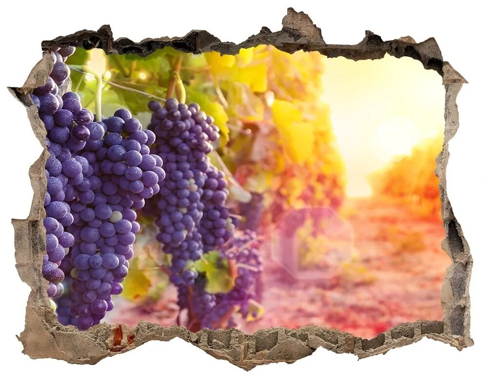3d lyuk fal dekoráció Szőlő nd-k-89292664