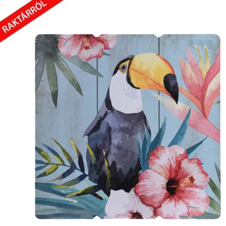 Birdie papagájos falikép 38 x 38 cm