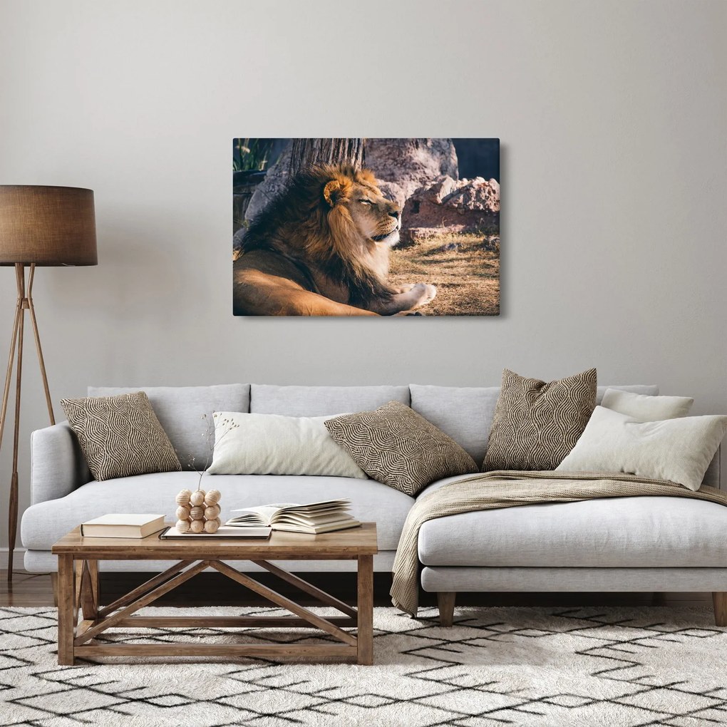 Egy fekvő oroszlán képe (90x60 cm)