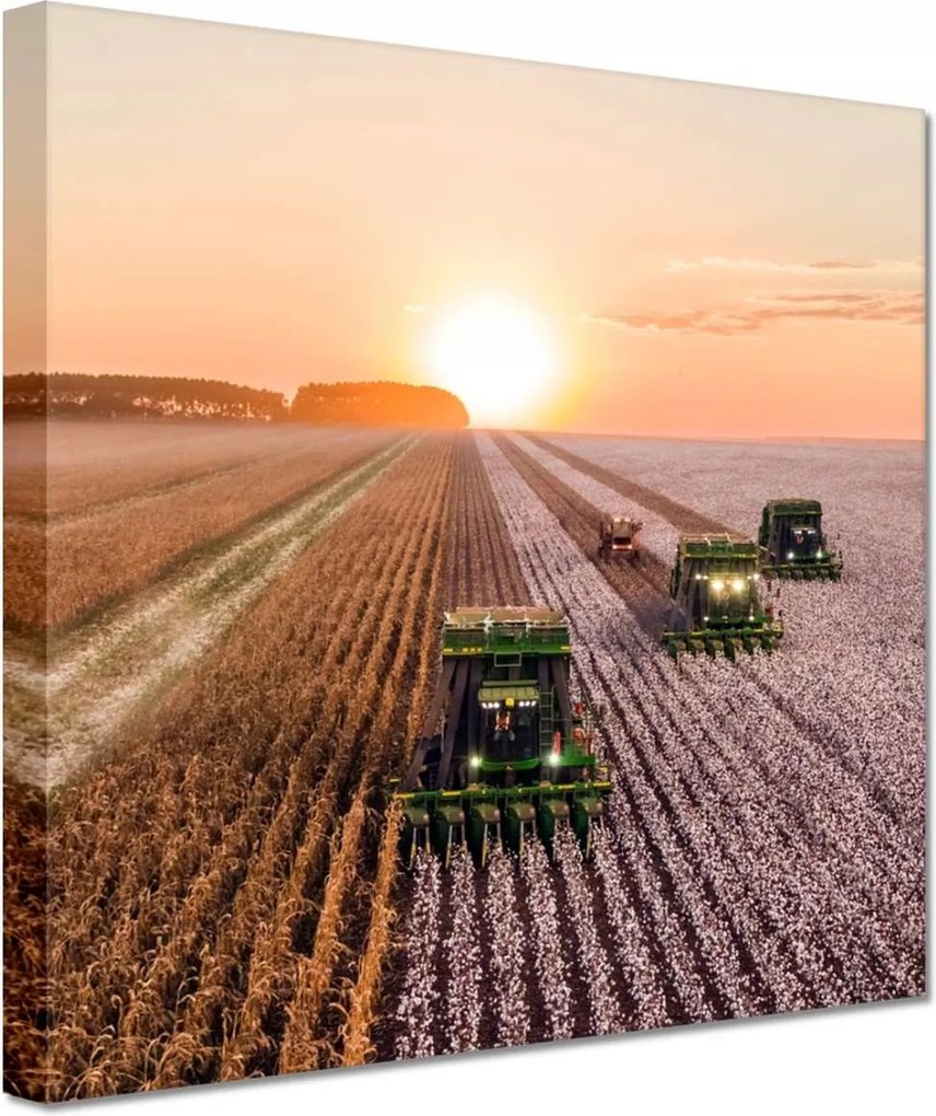 Festmények 20x20 Aratás Mezőgazdaság Kombájn