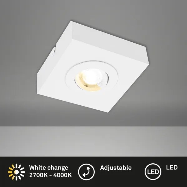 Briloner 3996016 - LED Spotlámpa CTS LED/4W/230V 2700/4000K fehér