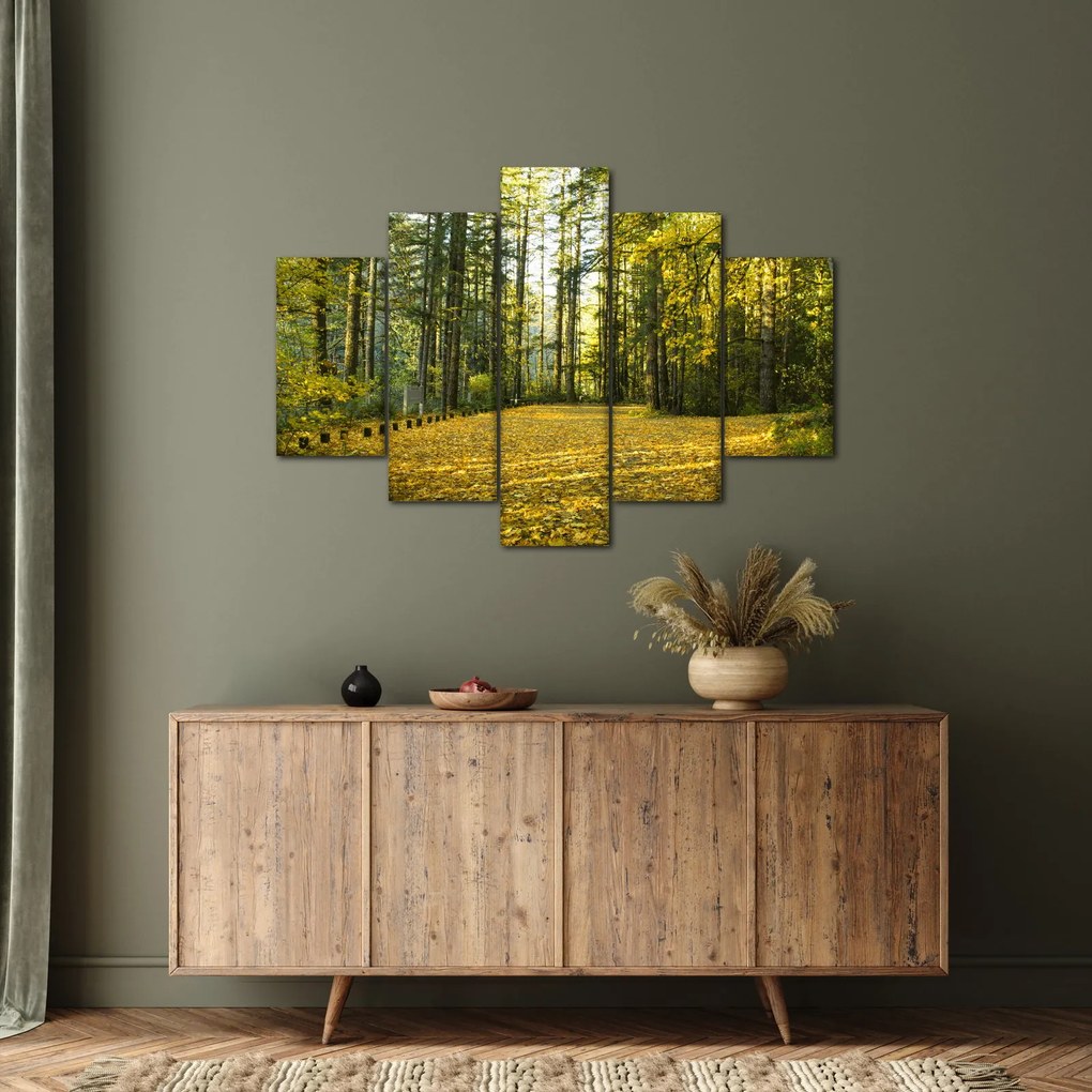 Kép - erdő ősszel (150x105 cm)