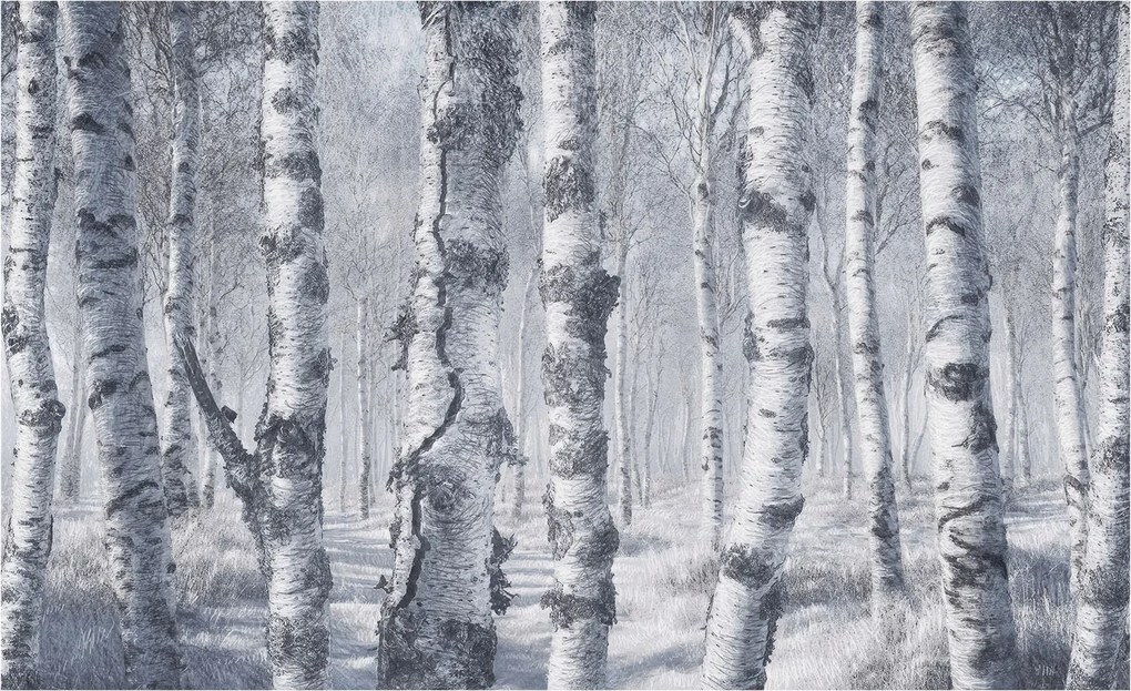 Fotótapéta Flizelin Hálószoba és Nappali Tapéta Fagyos természet 416x254