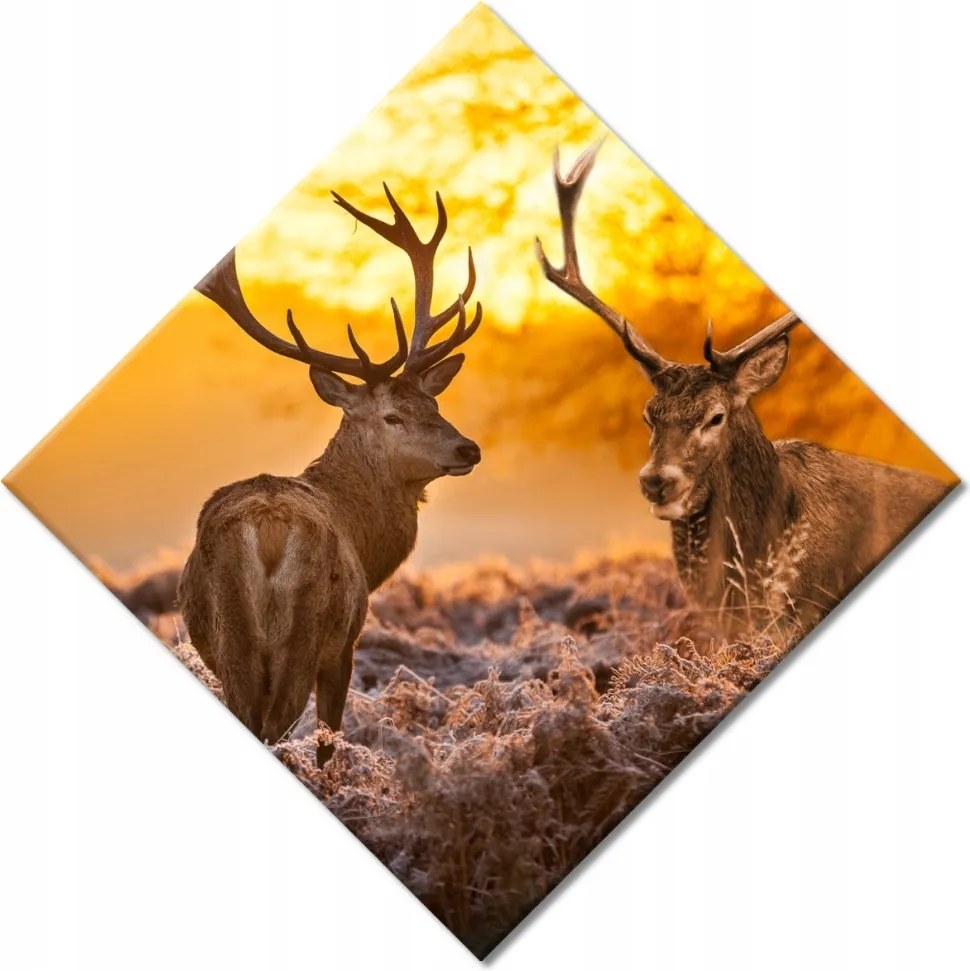 Vászonkép 56x56 Szarvasok a rikkancson