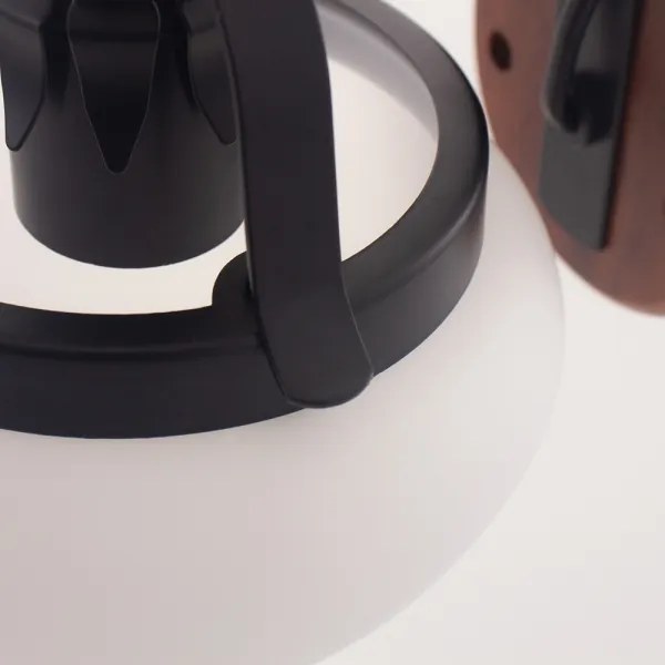 Rabalux 7077 - Fali lámpa PETRONEL E27/60W/230V