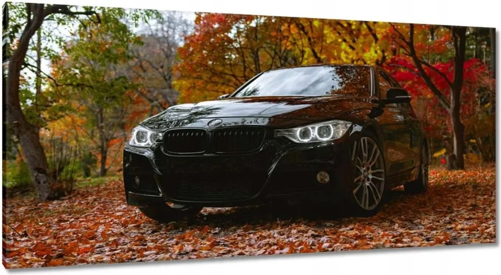 Vászonkép 115x55 Fekete Bmw Ősz