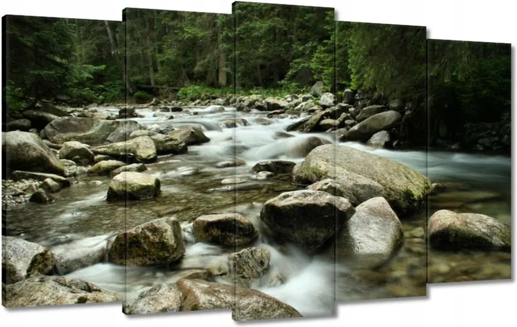 Képek 100x60 Tátra Lengyel hegyek Kilátás