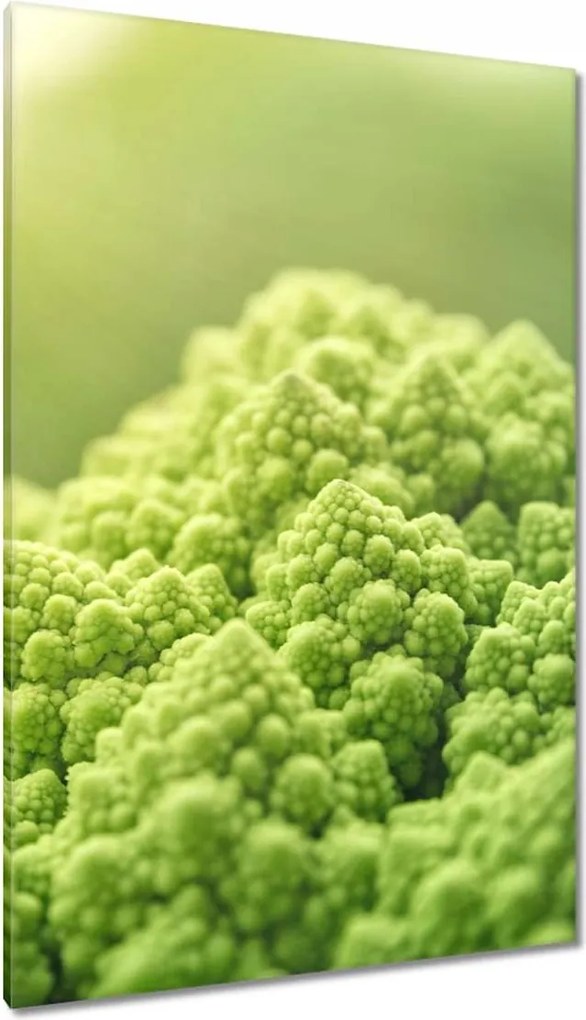 Festmények 80x120 Konyhai képek Forradalmak