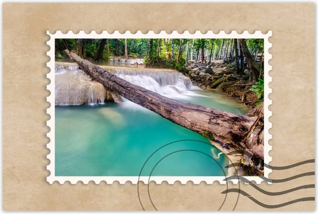 Poszterek 90x60 Kidőlt fa