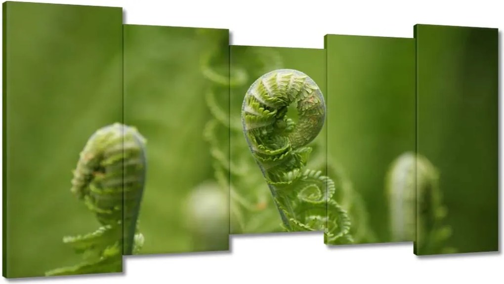 Vászonkép 150x80 Páfrányok Erdő Zöld levél