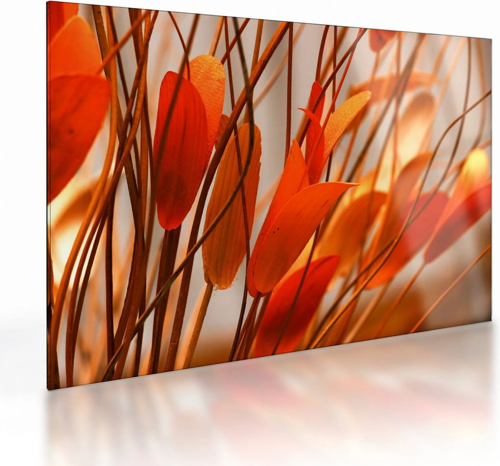 A szirmok képe (üvegen) (70x50 cm)